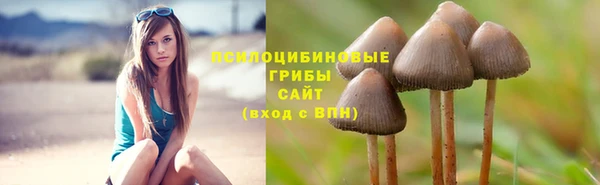 тгк Карталы